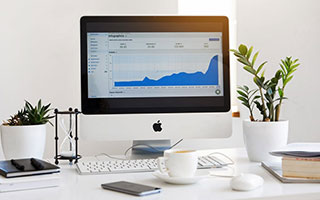 张雪之下，暗流涌动